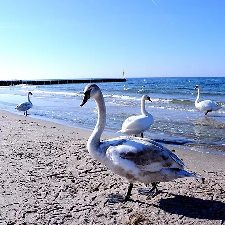 Apartament Arka 205 Appartamento Kołobrzeg